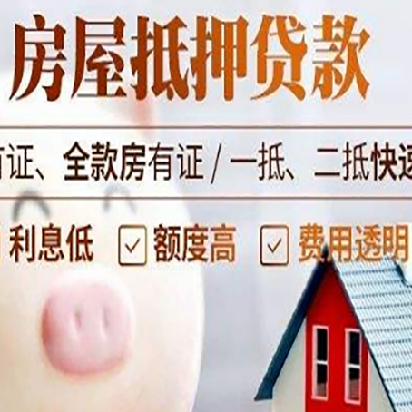 遂川贷款助贷公司新渝启服成立时间久